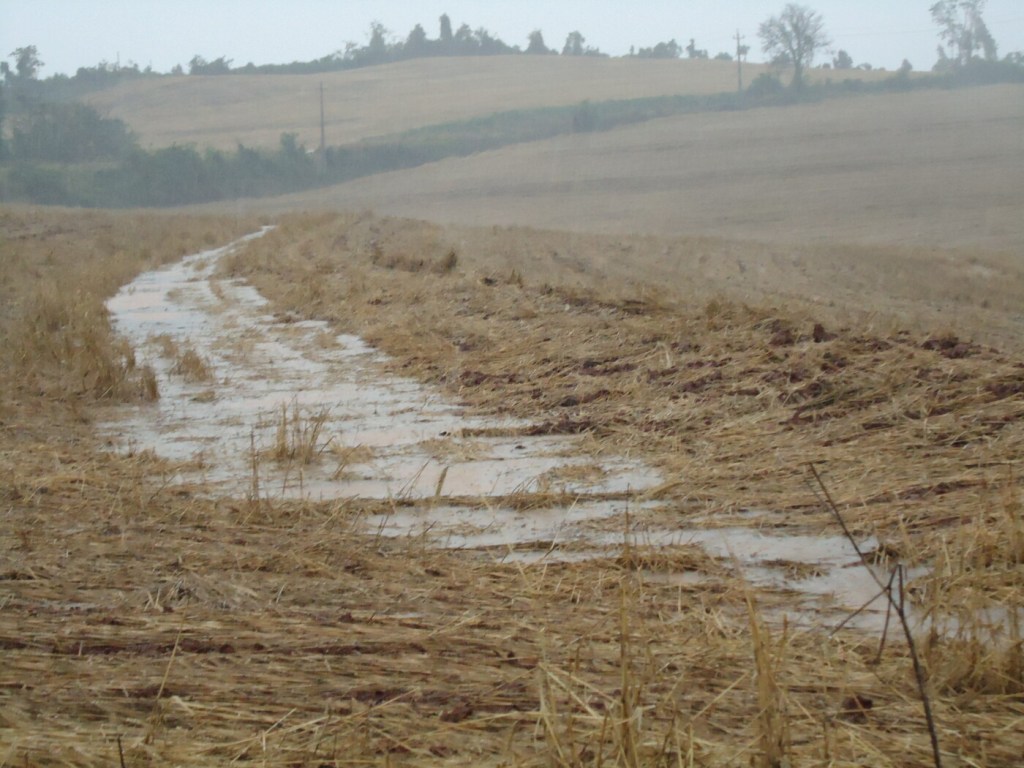 No ParanáEstudo avalia dinâmica da chuva em solo com terraceamento