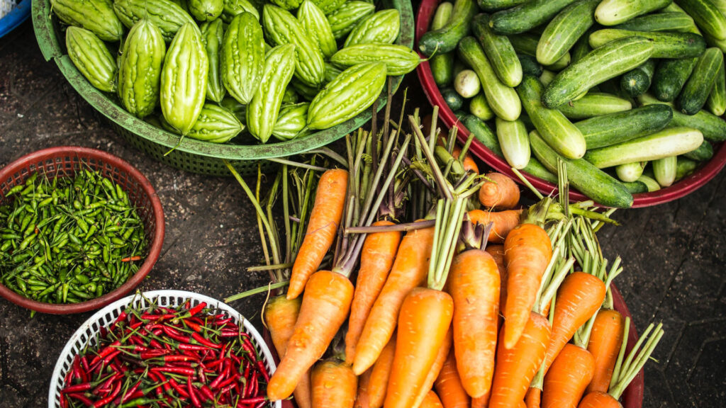 Quais hortaliças devemos plantar na primavera?