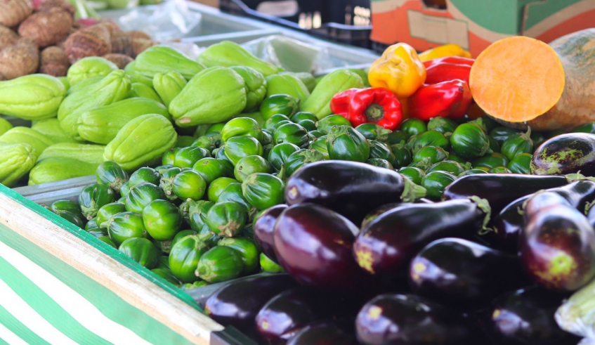 Feira Agroecológica comemora o Dia Mundial da Alimentação com café da manhã especial
