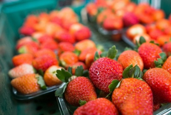 CNA apresenta oportunidades de exportações de alimentos para a Ucrânia