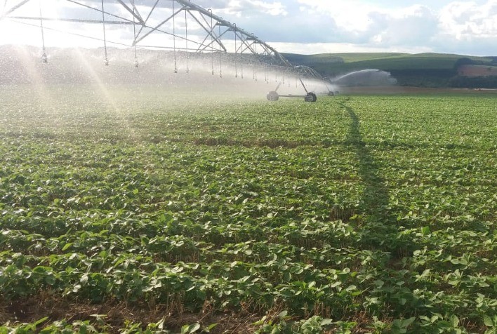 Manutenção preventiva dos pivôs pode evitar grandes prejuízos aos produtores