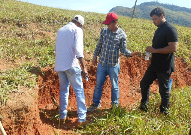 Conhecimento especializado pode fazer a diferença no processo de fertilização do solo