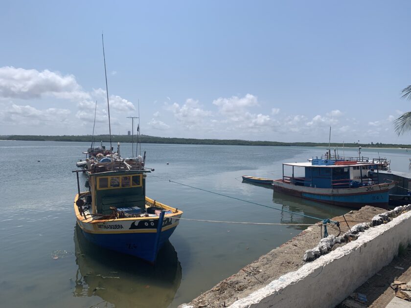 Fruticultura e beneficiamento de camarão centralizam esforços de agrônomos no RN