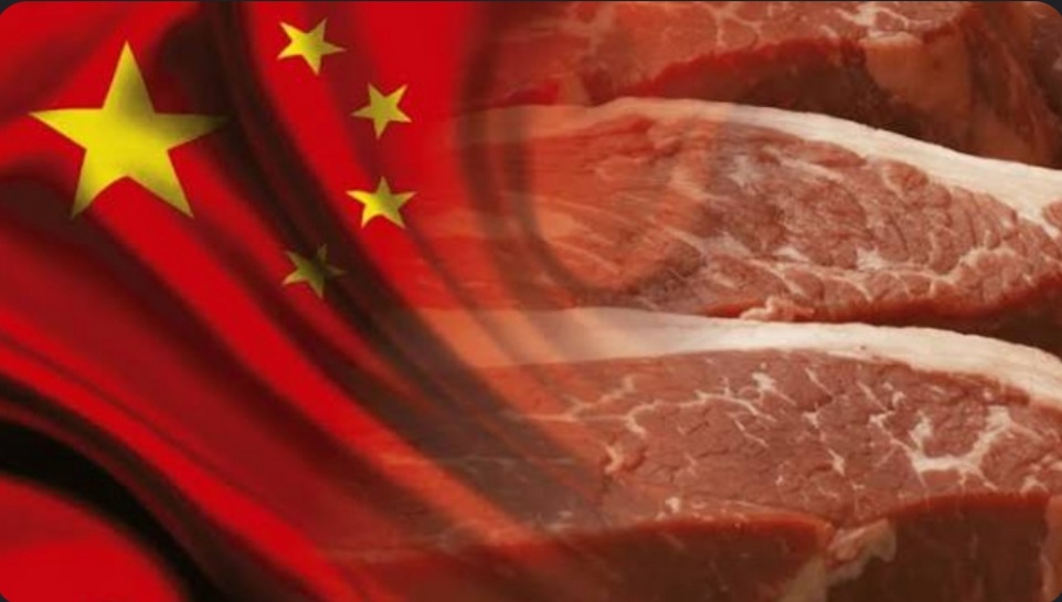 Liberada a primeira carga de carne bovina brasileira para entrar na China, informa Agrifatto