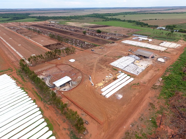 Boitel em MT passará por ampliação e terá capacidade para 15 mil cabeças em 2022