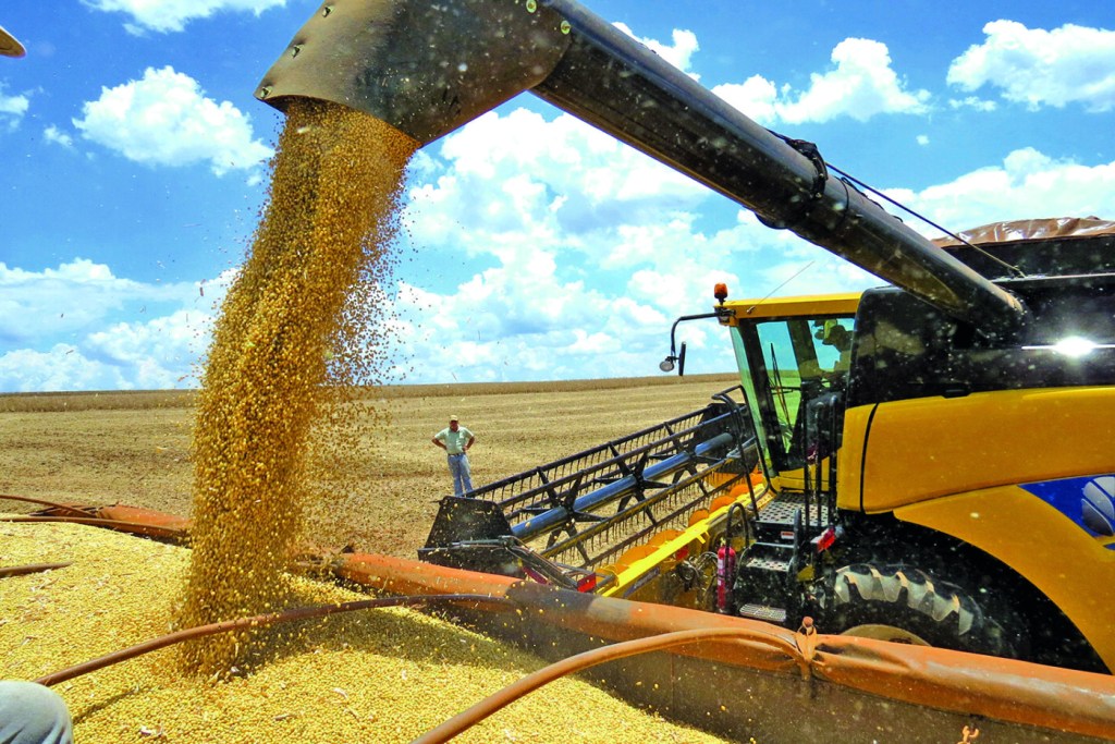 Valor Bruto da Produção Agropecuária de 2021 está estimado em R$ 1,10 trilhão