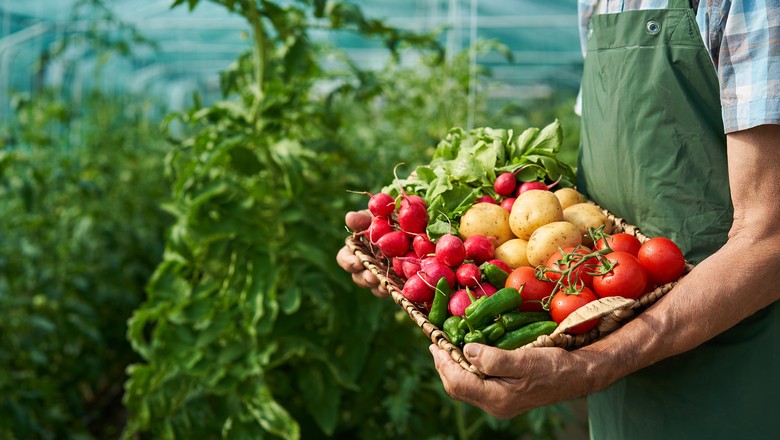 Produção agrícola mais sustentável pode gerar US$ 70 bilhões por ano em investimentos para o Brasil