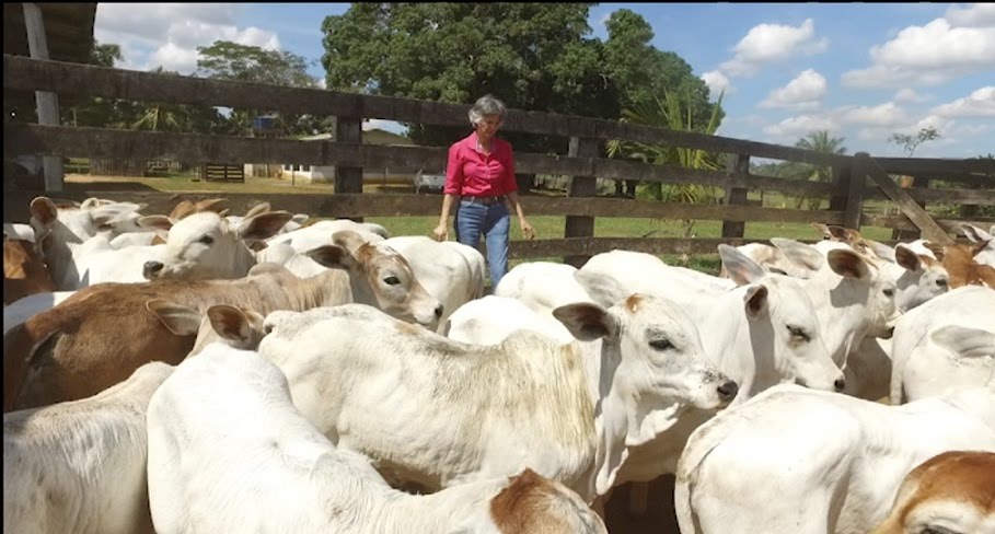 Especialista em turismo, pecuarista faz propriedade decolar investindo em genética no AC