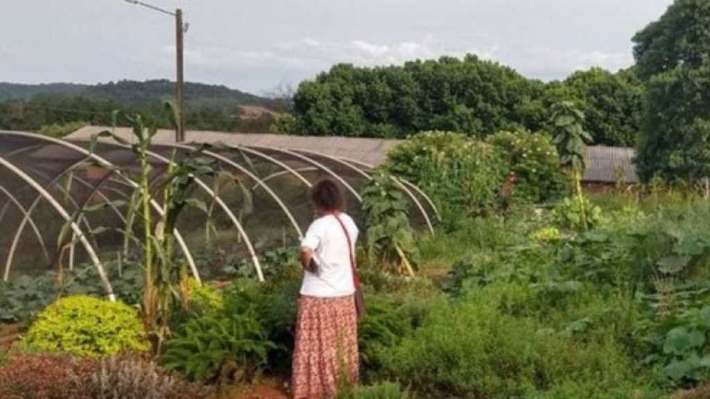 Mulheres agricultoras e o cultivo de plantas medicinais