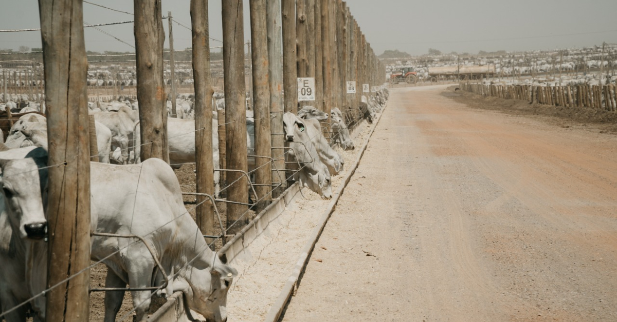 No Oeste da Bahia, expedição Confina Brasil visita a Agropecuária Jacarezinho e Captar Agrobusiness