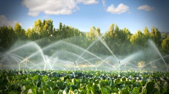 72% de toda a água consumida no Brasil é utilizada no agronegócio