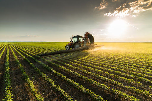 Êxodo rural: causas e consequências