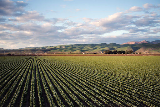 Área rural: o que é e como é definida?