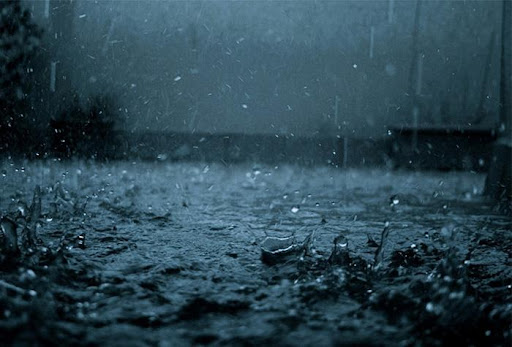 Como proteger as plantações da chuva ácida?