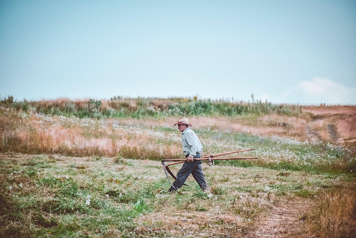 Agricultura de subsistência: como acontece no Brasil?
